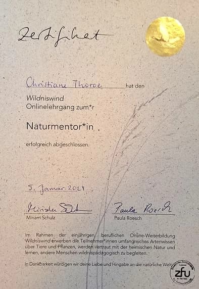 Zertifikat – Qualifikation Waldbaden