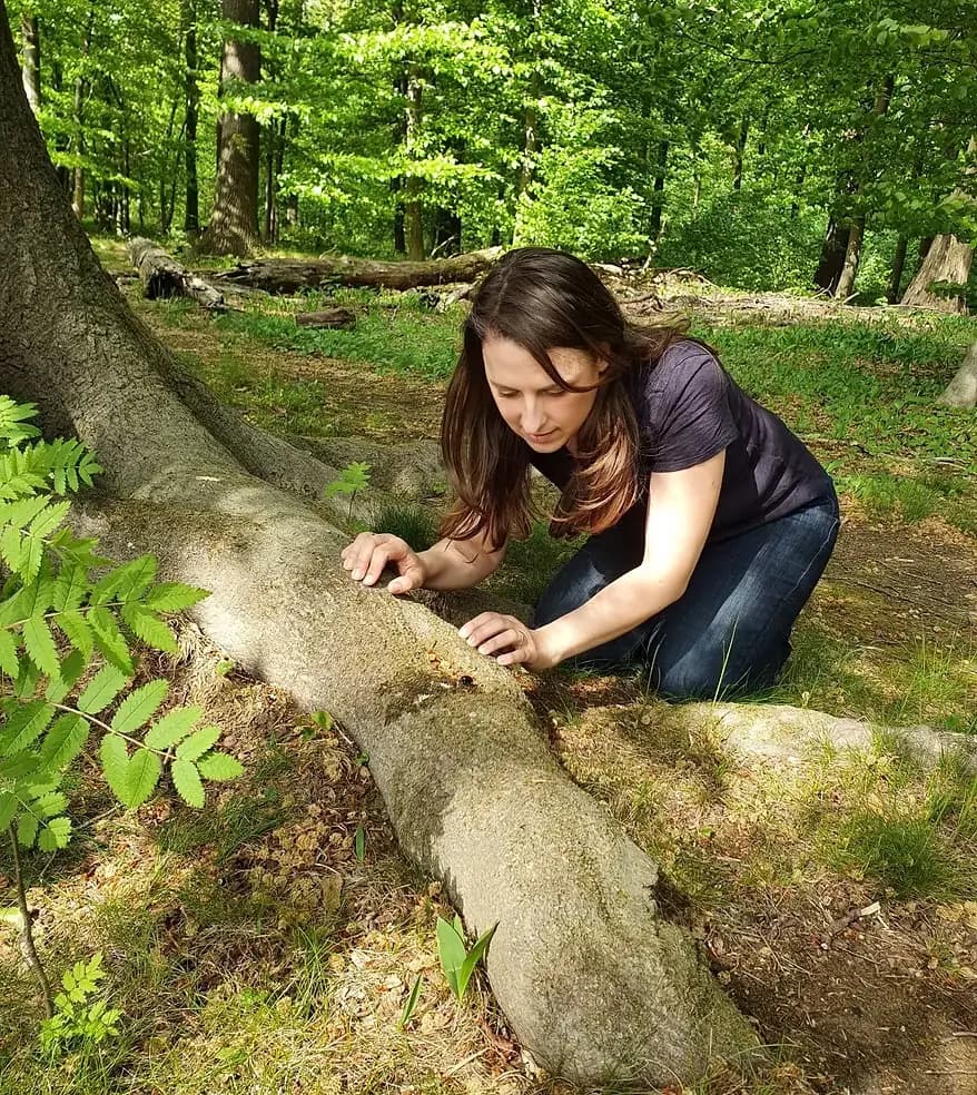 Waldszene mit moosbedecktem Boden